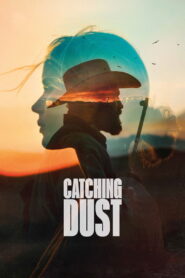 Catching Dust vider