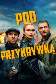 Pod przykrywką vider