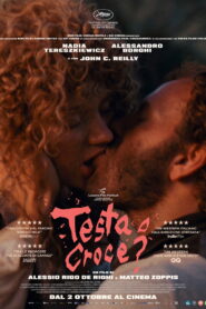 Testa o croce? vider