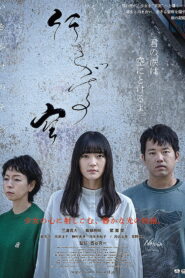 行きがけの空 vider