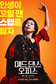 매드 댄스 오피스 vider