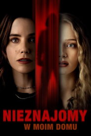 Nieznajomy w moim domu vider