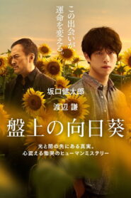 盤上の向日葵 vider