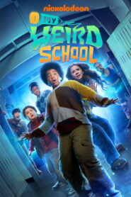 My Weird School vider