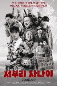 서부리 사나이 vider