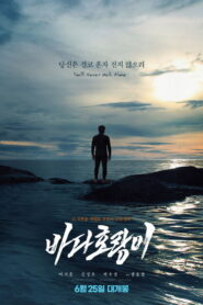 바다 호랑이 vider