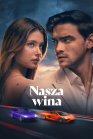 Nasza wina vider
