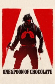 One Spoon of Chocolate vider