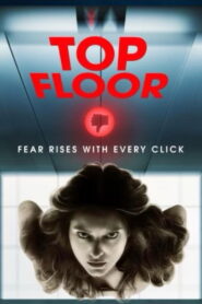 Top Floor vider