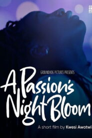 A Passion’s Night Bloom vider