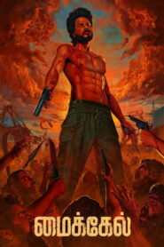 மைக்கேல் vider