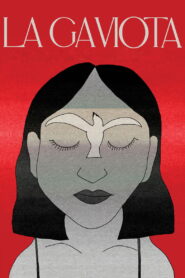 La gaviota vider