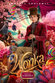 Wonka vider