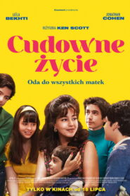 Cudowne życie vider