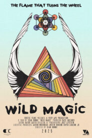 Wild Magic vider