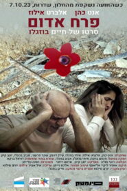 פרח אדום vider